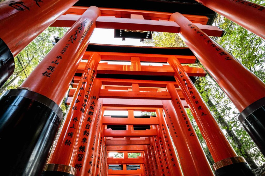 Looking up through a tunnel of vermilion torii gates in Japan, a Tokyo vs Kyoto travel guide