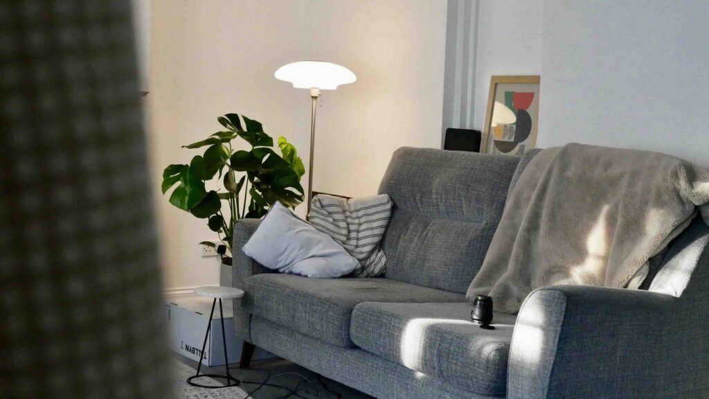 Half-settled living room with a grey sofa, houseplant and an unopened moving box in soft evening light