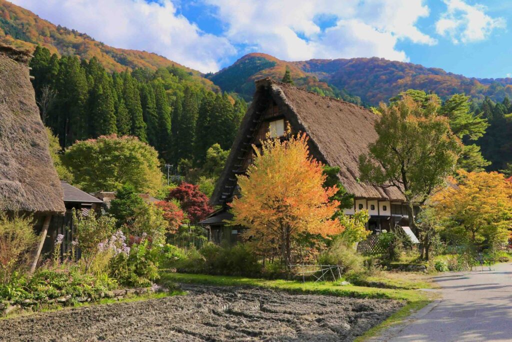 Off-Season vs Peak Season in Japan: How Timing Changes the Way the Country Feels Thatched gassho farmhouses among autumn foliage at Shirakawa-go, Japan