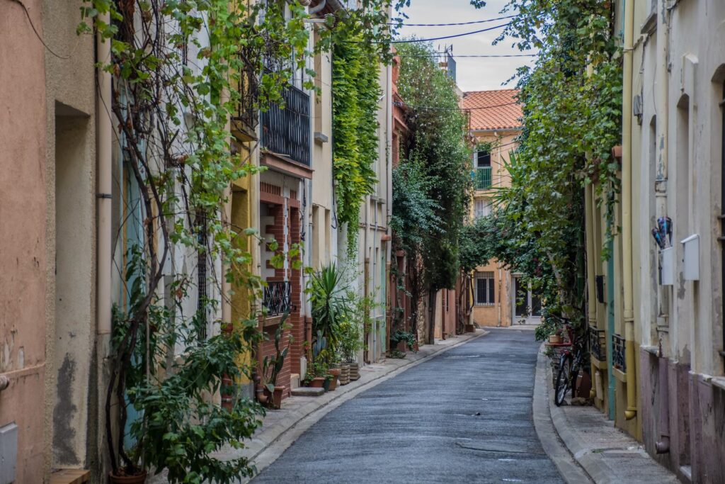 Narrow residential alley lined with climbing plants, potted greenery and a bicycle in a quiet French town