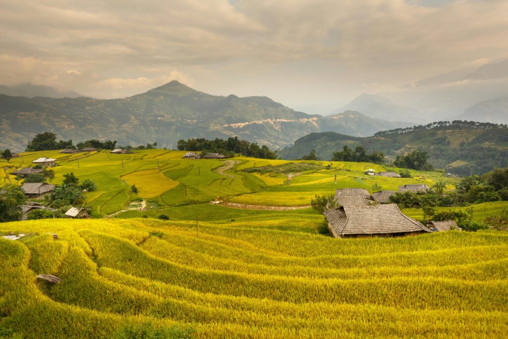 Off-the-Beaten-Path Vietnam: Hidden Gems for the Adventurous Traveler