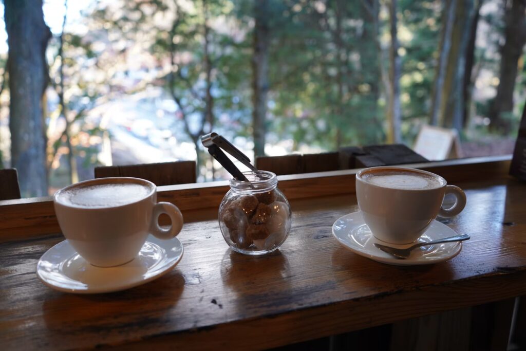 Two coffee cups on a wooden counter by a window overlooking a forest in soft daylight