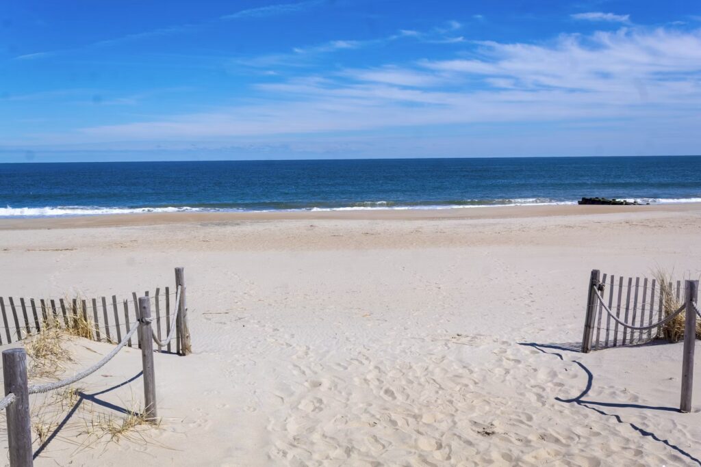Empty sandy beach and blue ocean seen through a wooden dune fence on a clear day