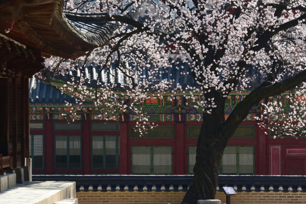 South Korea’s Unique Blend: Tradition and Modernity in Perfect Balance