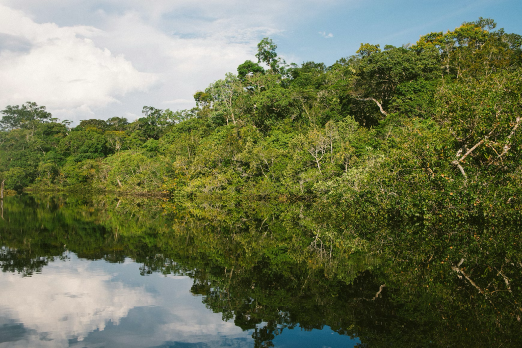 The Ultimate Amazon Rainforest Adventure Guide: Best Spots, Tips, and Travel Planning Advice
