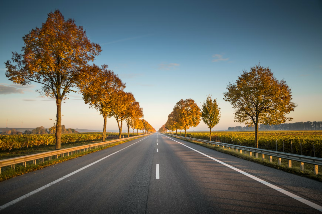 How to Plan a Road Trip Through Germany: Top Scenic Routes and Must-Visit Cities