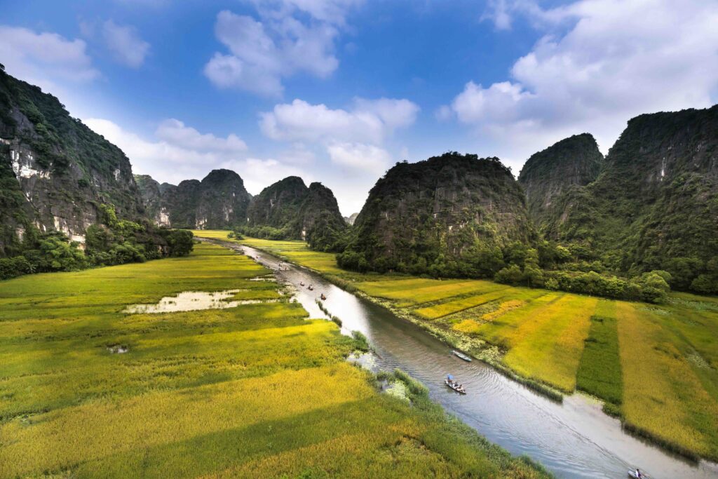 The Best Time to Visit Vietnam: Seasonal Travel Tips for Weather, Events, and Destinations Golden rice fields along a river through limestone mountains at Tam Coc, Ninh Binh, Vietnam