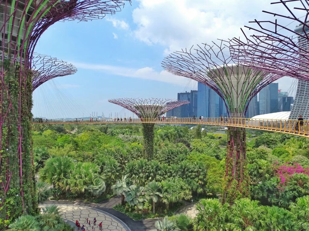 First-Time Travel to Singapore: Top Tips, Must-See Sights, and Essential Travel Advice Lush Supertree Grove and skyway at Gardens by the Bay in daylight, first-time travel to Singapore