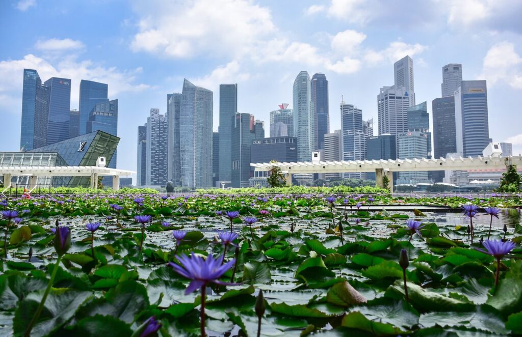 Flying from Cebu to Singapore: What the Flight Feels Like Between Two Southeast Asian Hubs Marina Bay skyline behind purple water lilies, the Singapore arrival point on a Cebu flight.