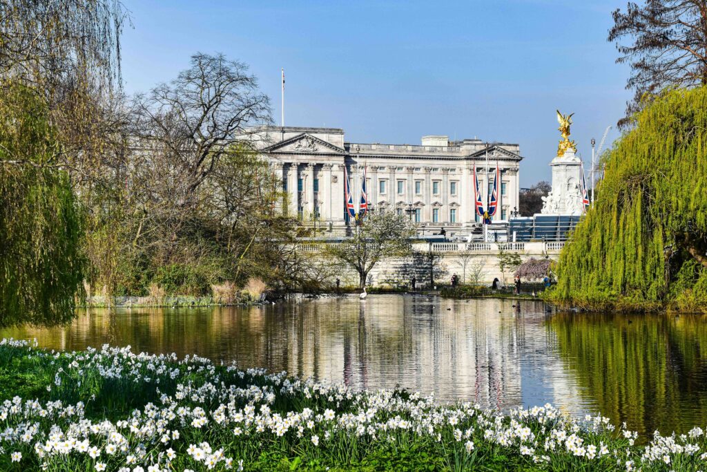 A Royal Tour of London: Must-See Royal Sights and Hidden Gems for History Lovers Buckingham Palace across St James's Park lake with spring daffodils and Union Jack flags, London