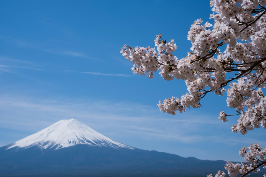 The Ultimate Guide to Japan’s Seasons: Best Times to Visit & What to Expect Year-Round