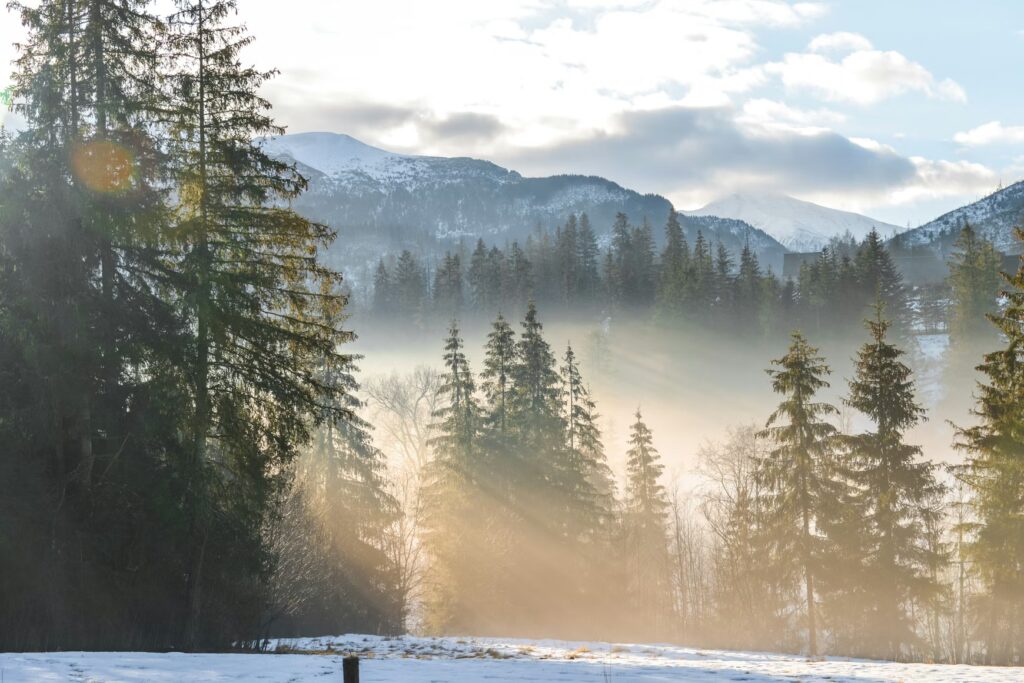 12 Best Countries to Visit in November (2026): Warm Pre-Winter Getaways