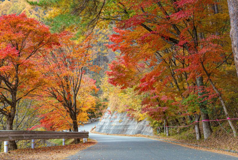 15 Best Places to See Fall Foliage (2026): Epic Global Road Trips