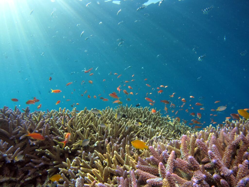 30 Best Places to Snorkel in the World (2026): Ultimate Bucket List