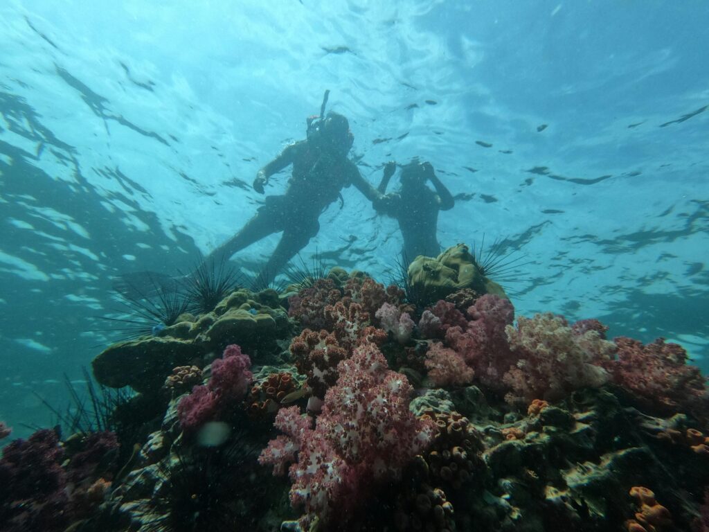 Best Snorkeling in the Caribbean & Key West (2026): Tropical Escapes