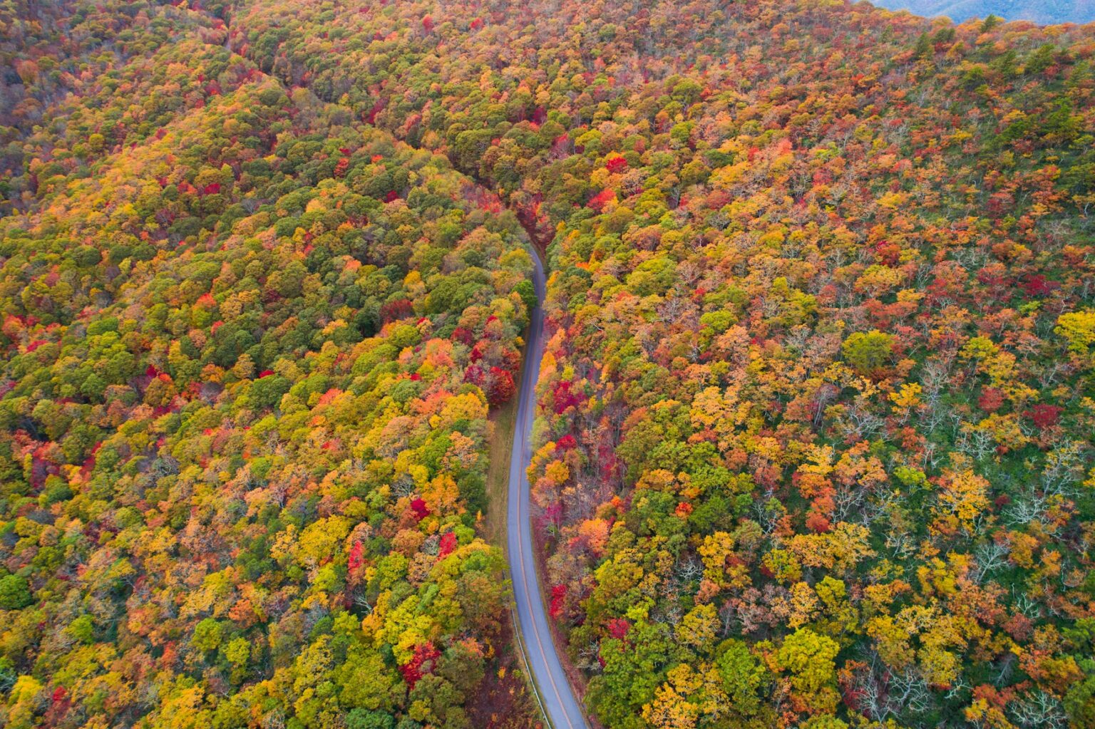 15 Best Places to See Fall Foliage (2026): Epic Global Road Trips ...