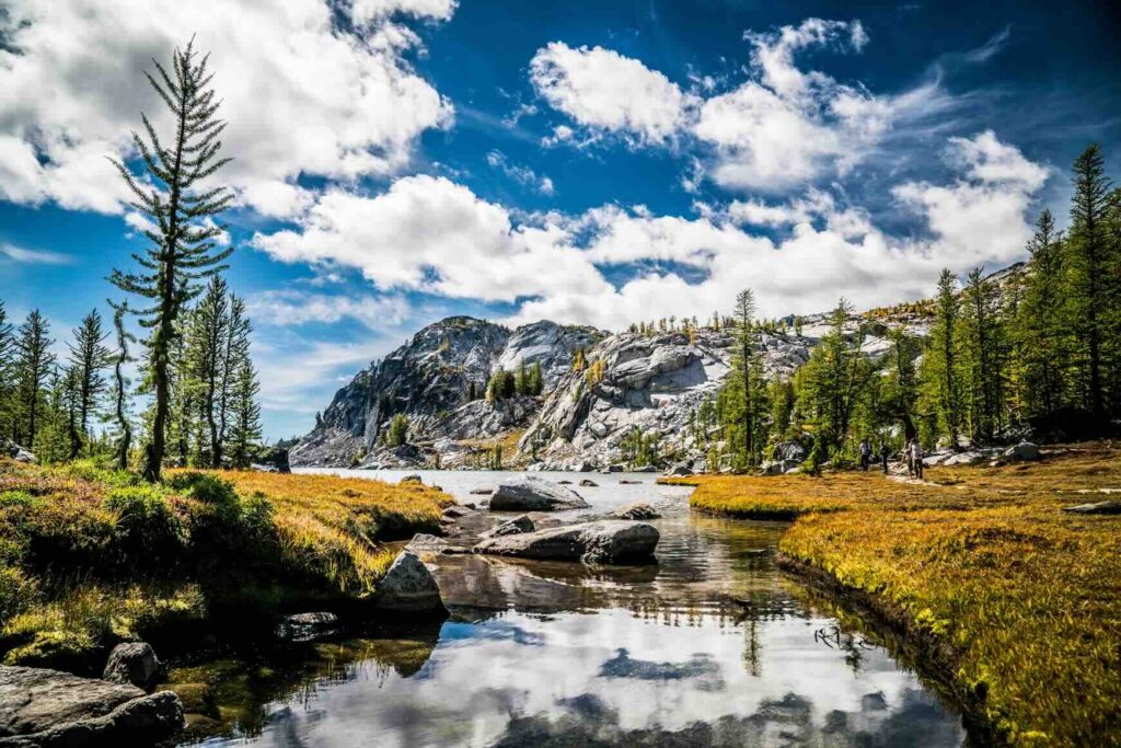 A serene mountain lake surrounded by pine trees and golden-hued meadows.