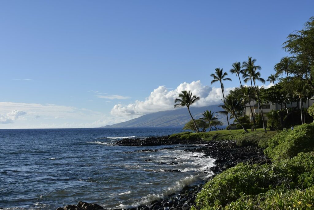 Where to Find the Best Snorkeling in Maui (2026): A Beginner’s Guide