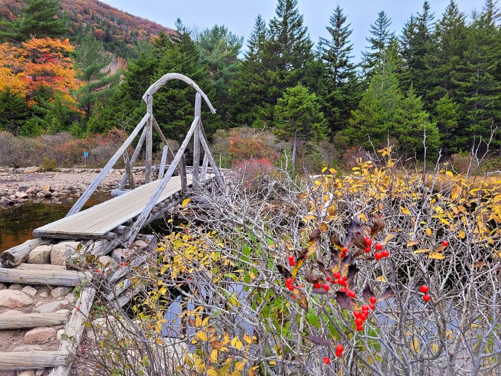 Rustic wooden bridge and autumn leaves on a gentle trail, ideal among national parks for toddlers