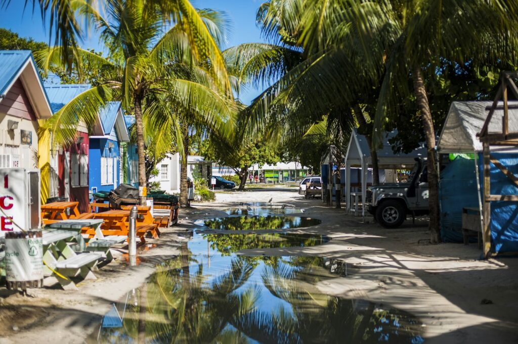 Vibrant coastal views in Barbados, proving you can enjoy beautiful tropical vacations on a budget
