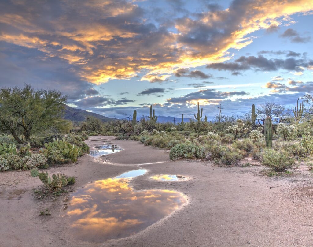 12 Warm Places to Visit in December USA (2026): Cheap & Sunny