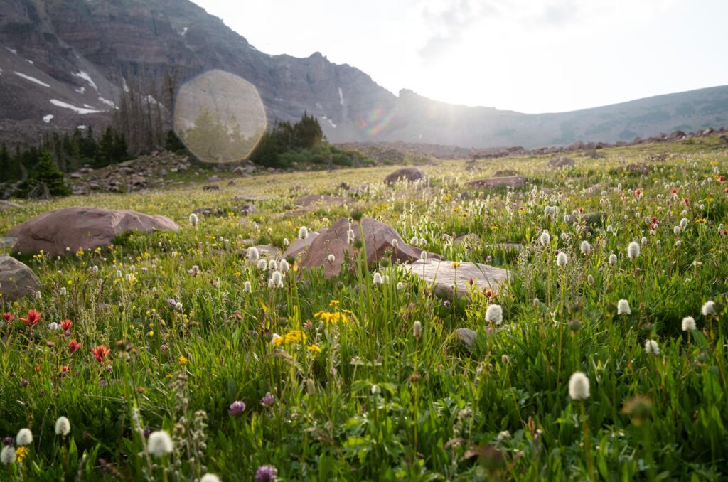 18 Best Places to Visit in June USA (2026): Epic Summer Kickoff Spots