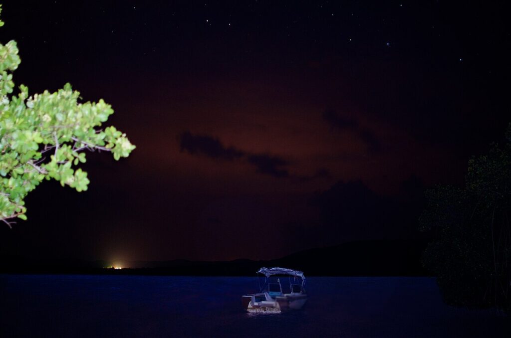 Exploring a glowing bioluminescent bay at night during an unforgettable caribbean vacation with kids