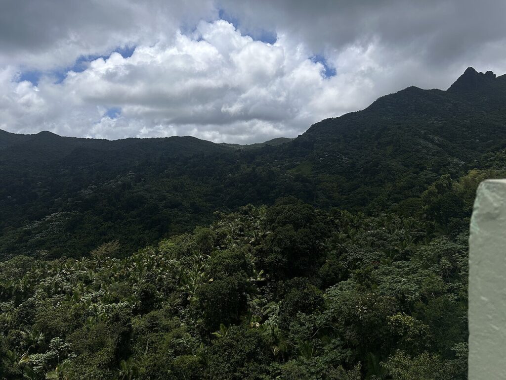 Lush, green mountainous landscape of El Yunque National Forest covered with clouds. 