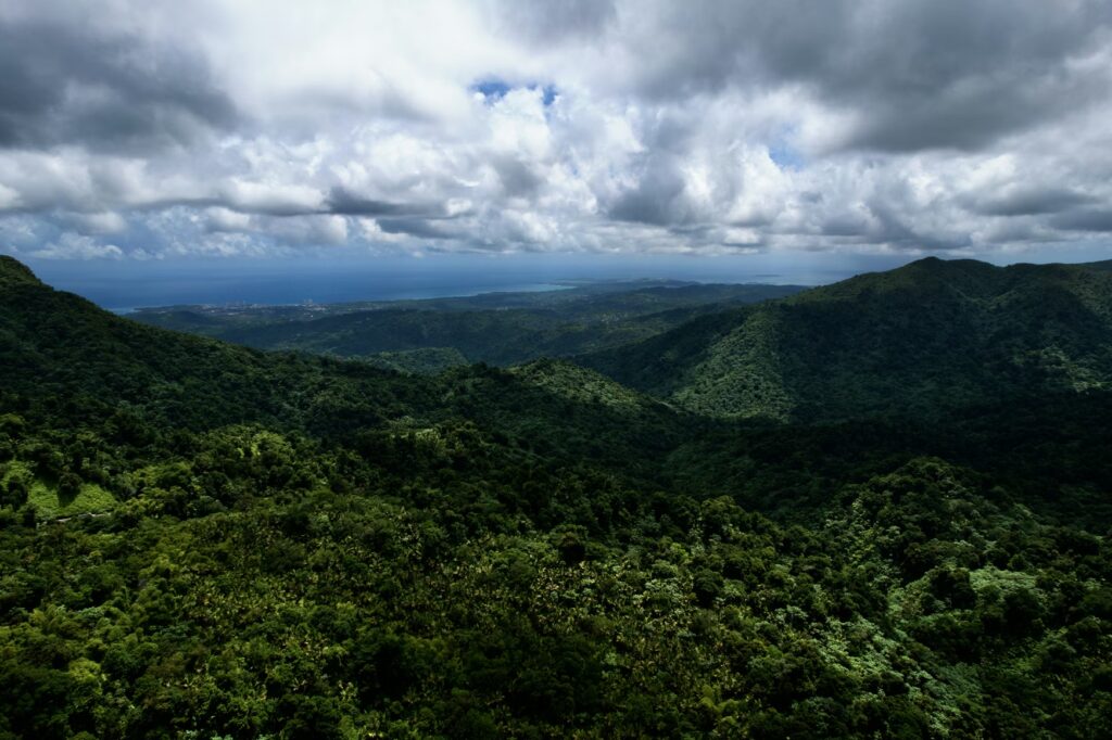 Aerial view of the lush El Yunque rainforest mountains, a highlight of a caribbean vacation with kids