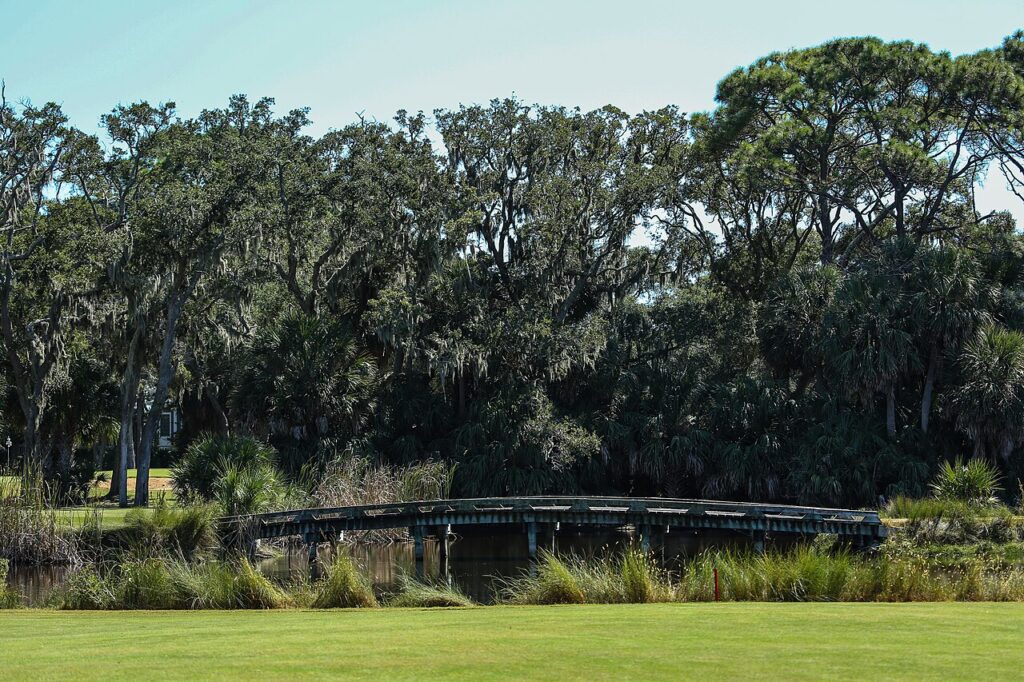 Wooden bridge over a tranquil pond surrounded by trees, perfect for outdoor kid-friendly activities