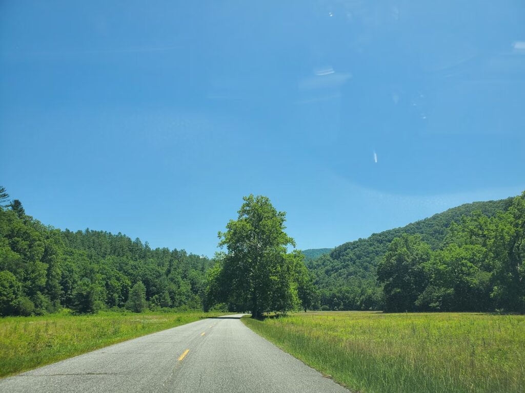 Scenic drive through lush green landscapes, making it one of the most accessible national parks for toddlers