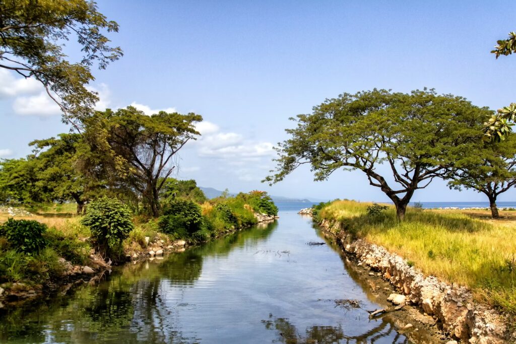 Lush green trees along a tranquil canal in Jamaica, one of the best caribbean islands for families