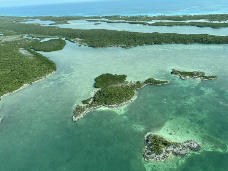 Aerial view of lush green cays, a beautiful visual to include in a list of caribbean islands