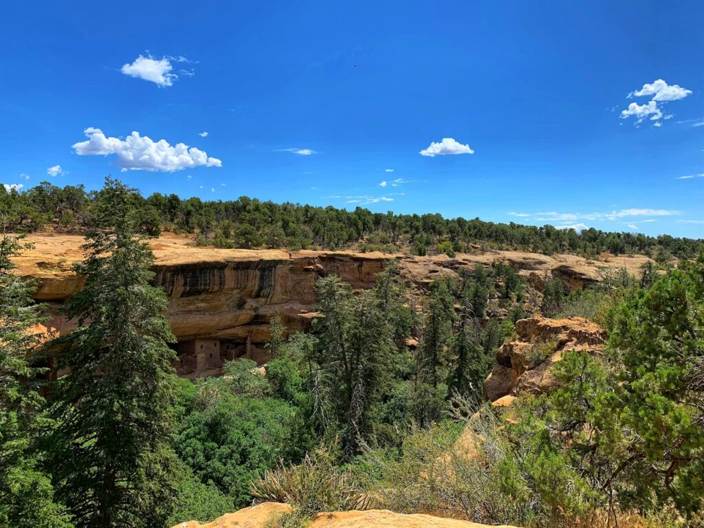 A deep rocky canyon surrounded by dense green pine trees under a blue sky. 