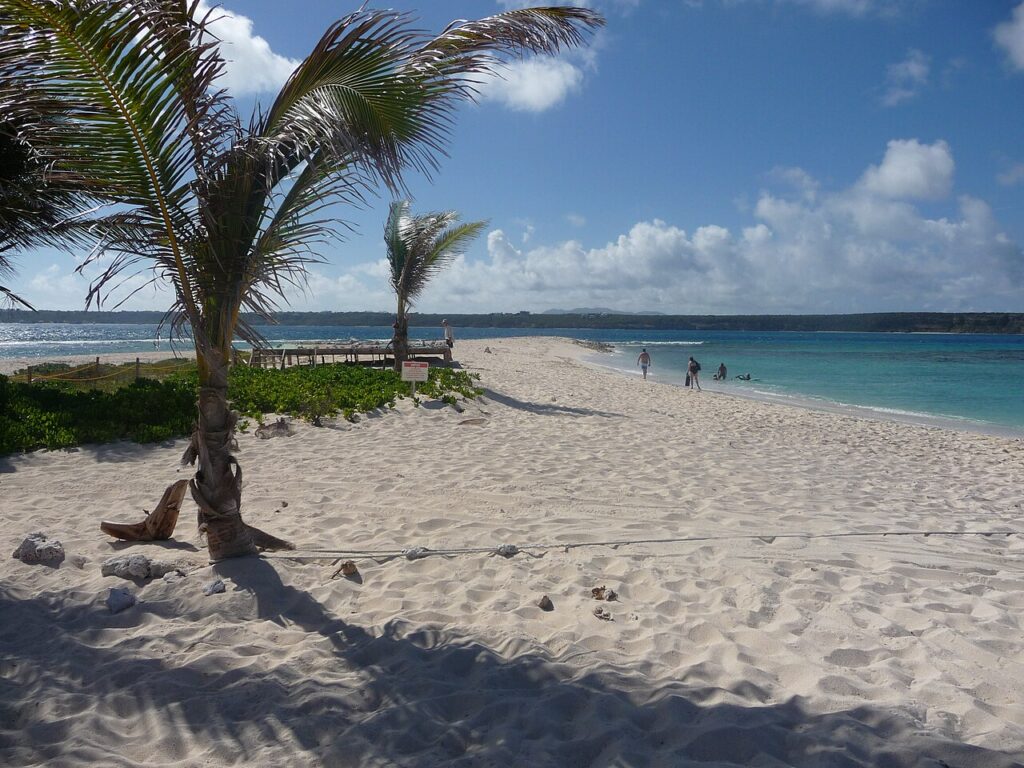 Palm trees on the white sand of Sandy Island, a must-see among the best caribbean islands to visit 
