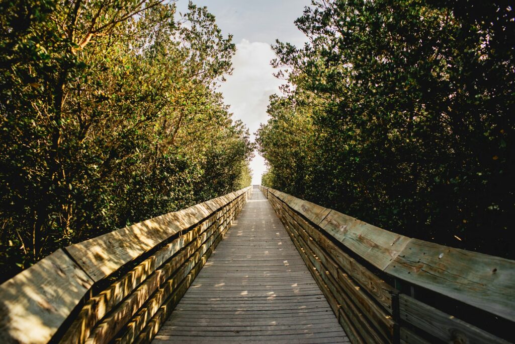 Wooden boardwalk through mangroves to South Padre Island beach, for best family vacations on a budget