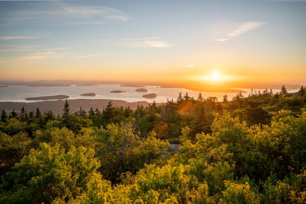 Golden sunrise glowing over a lush pine forest and distant ocean islands from the summit of Cadillac Mountain.