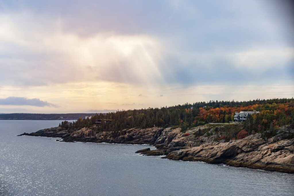 A rocky, rugged coastline with pine trees overlooking the dark ocean waters under a cloudy sky.
