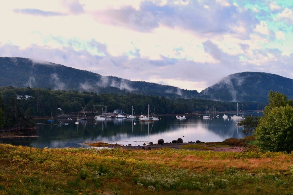Boats anchored in a calm harbor with low-hanging fog hovering over the forested hills.