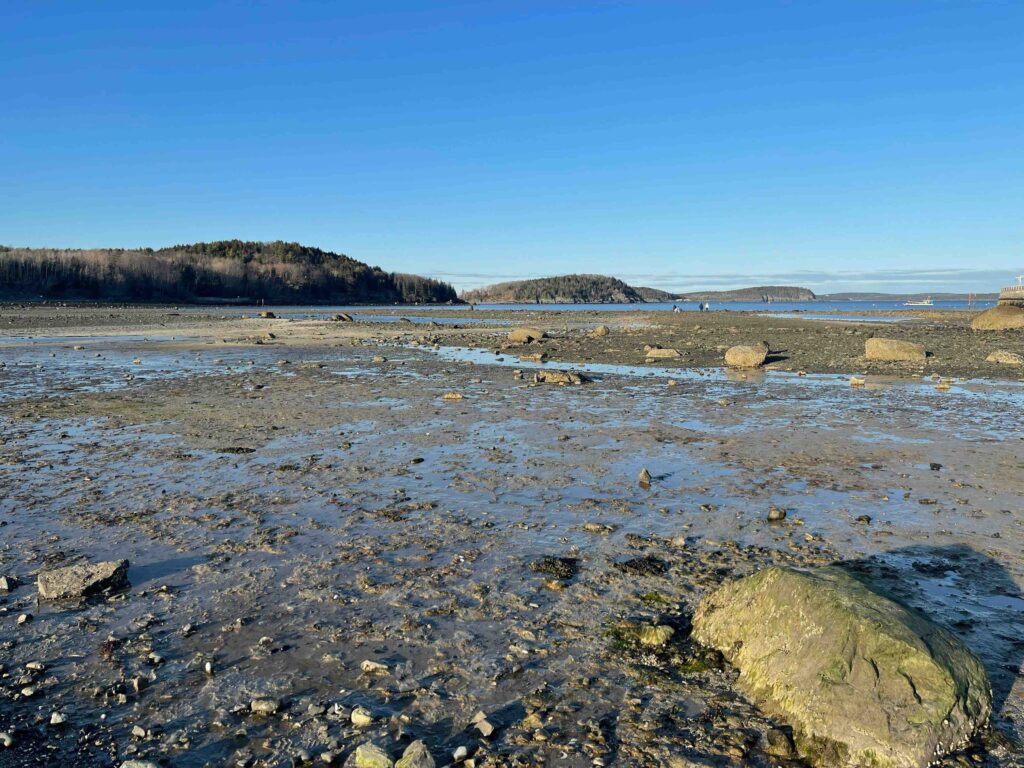 The exposed, rocky, and muddy Bar Island Land Bridge visible during a very low tide.