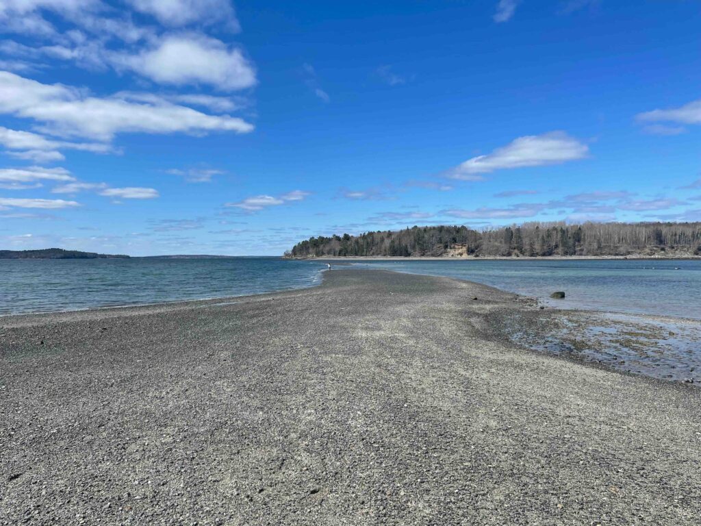 The gravel Bar Island Land Bridge exposed at low tide, allowing a walking path across the harbor floor.