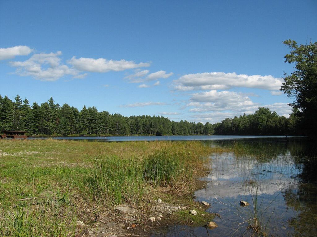 A quiet, pine-lined lake with a grassy shoreline located deep within Baxter State Park. 