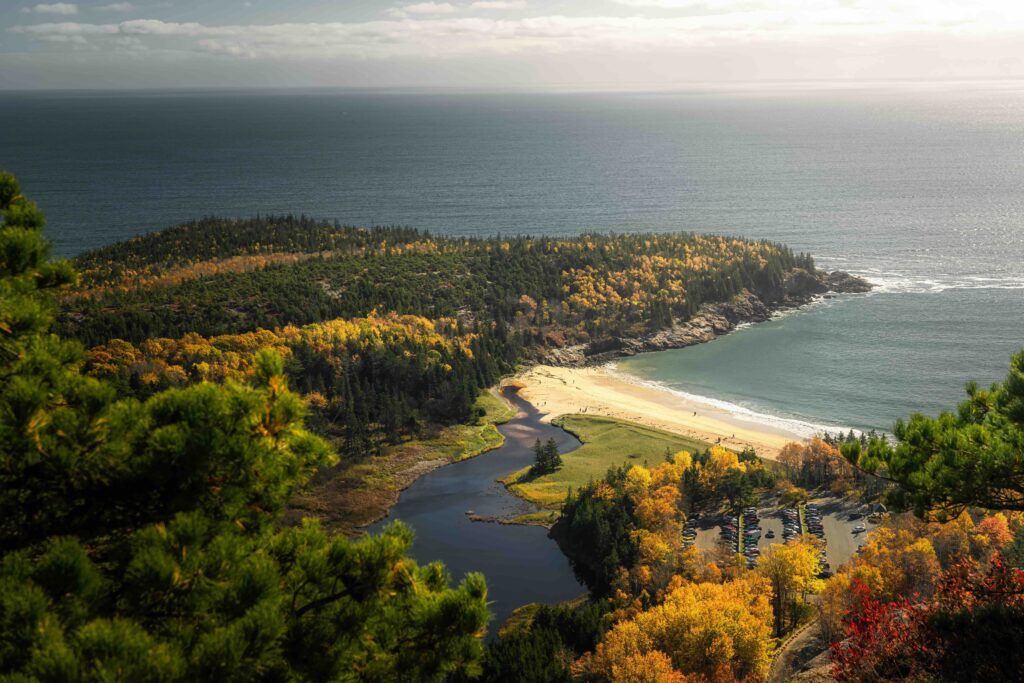 A high-angle view looking down at a sandy beach curve and blue ocean surrounded by autumn trees.