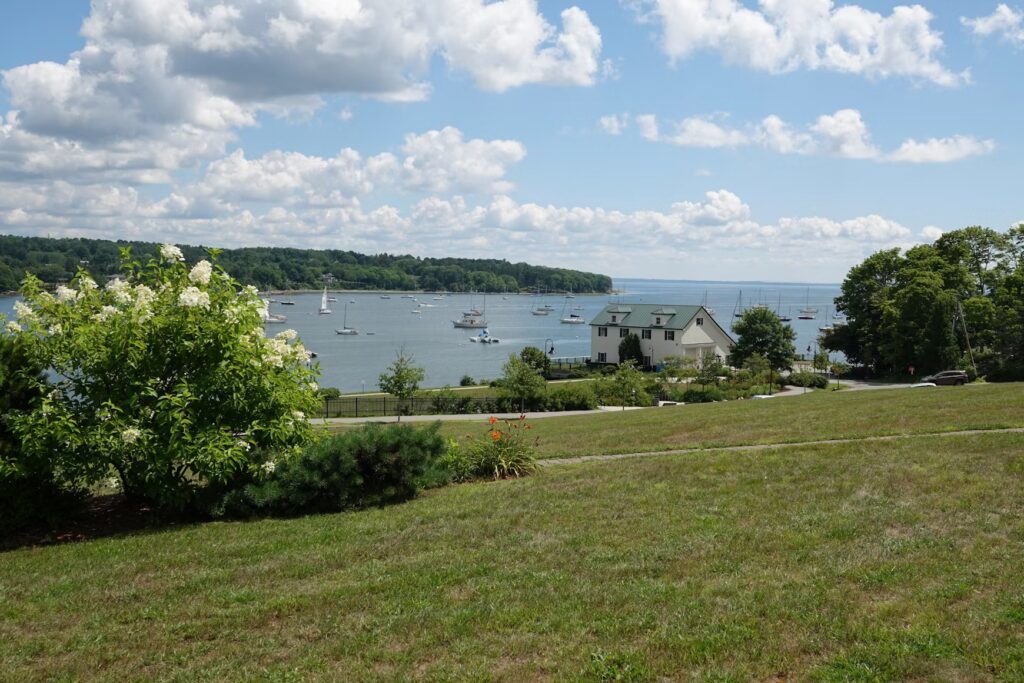A grassy hill offering a beautiful view of the boat-filled bay in Belfast. 