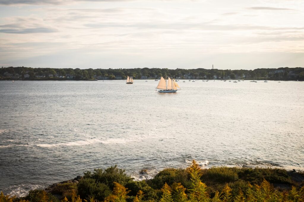 Two classic wooden sailboats cruising across the wide ocean bay near the tree-lined coast.