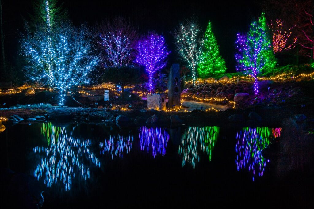Trees wrapped in vibrant, colorful lights reflecting in the water during Garden Aglow in Boothbay Harbor. 