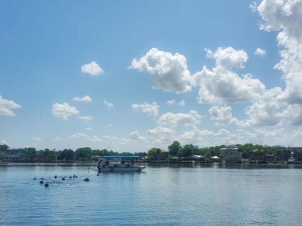 A group of snorkelers swimming near a dive boat on the calm surface of Crystal River, Florida. 