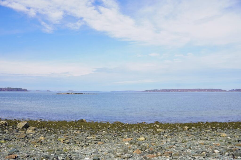 A rocky, seaweed-covered shoreline looking out over the calm blue waters and distant islands of Casco Bay. 