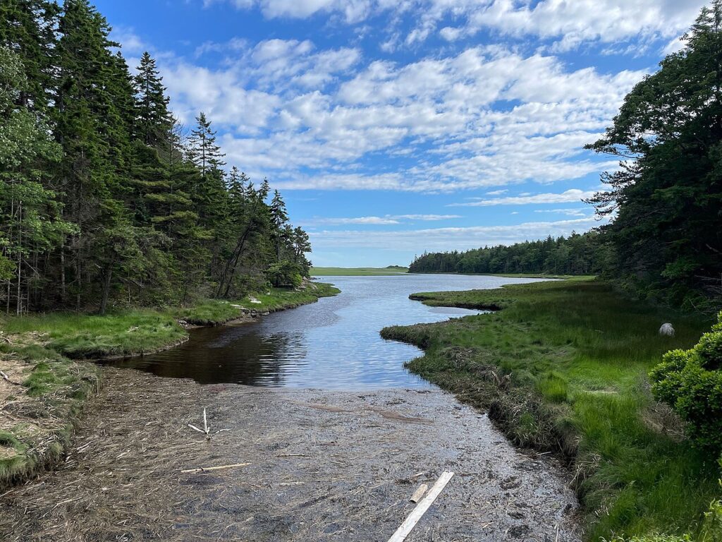 The Sheepscot River winding through a lush salt marsh at Reid State Park in Georgetown. 