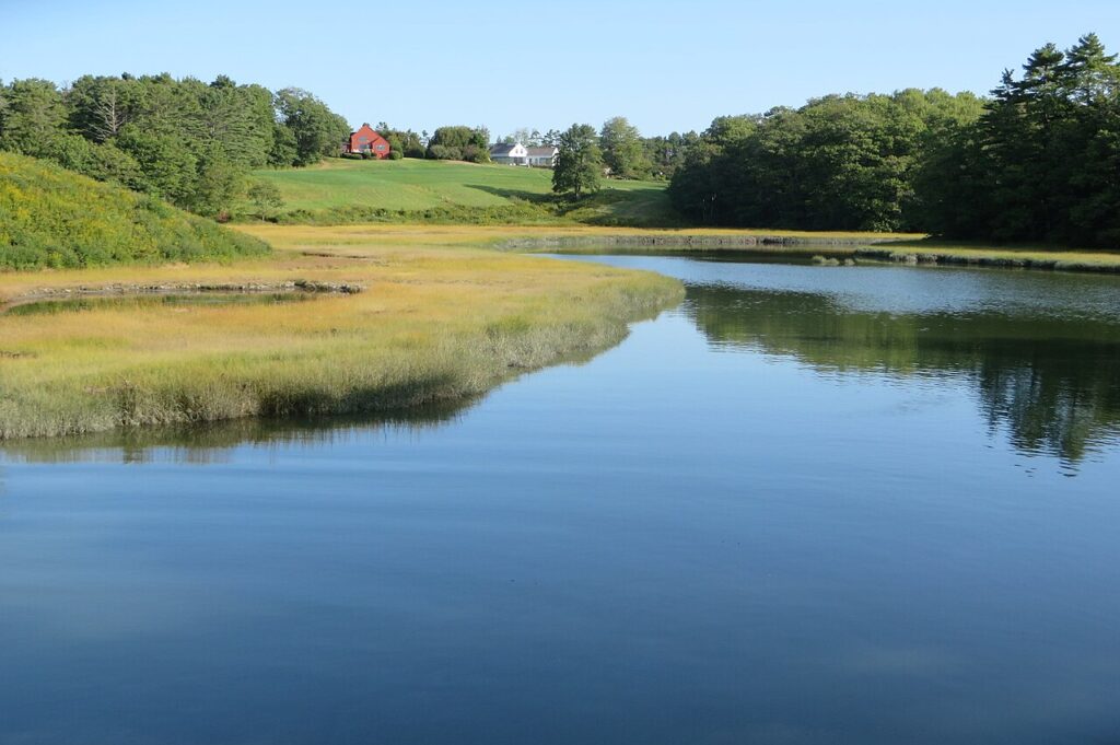 A quiet, winding river cutting through a vibrant green salt marsh on a sunny day.